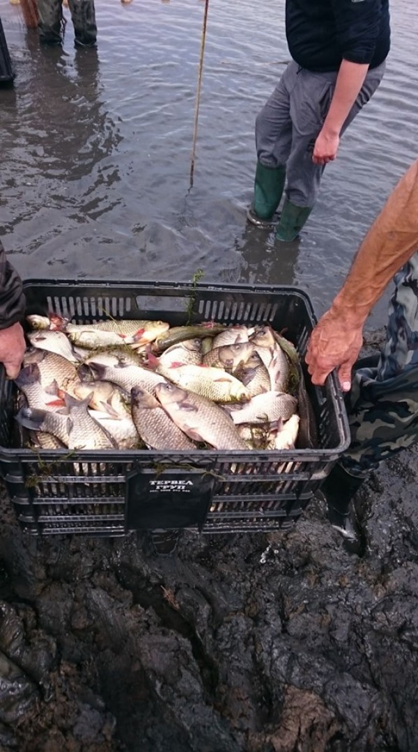 Спипаха бракониери в крачка на язовир Копринка