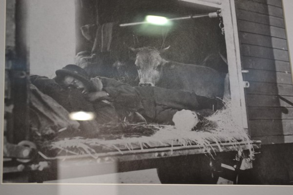 „Вълшебните стъкла на Петър Арнаудов“ – хвърчила към бъдещето