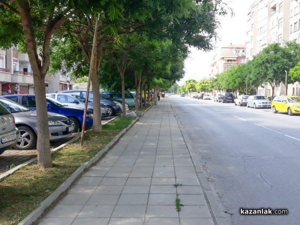 Отрязани дървета разбуниха духовете в Казанлък