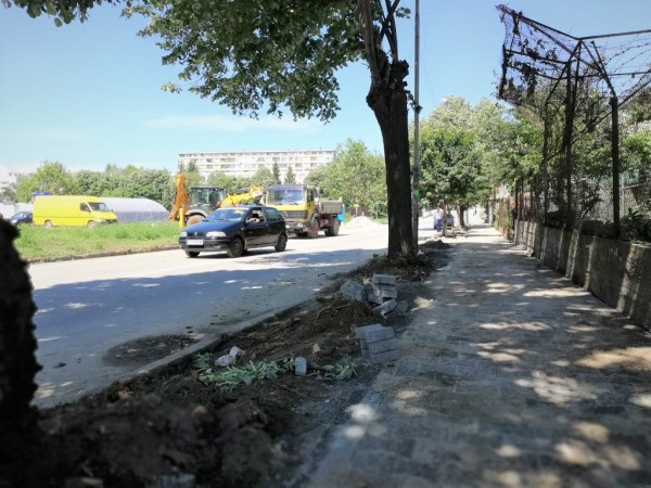 Отрязани дървета разбуниха духовете в Казанлък