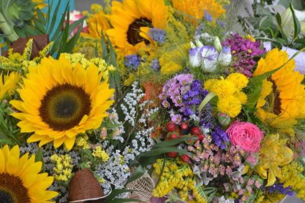 На Еньовден Деляна Бобева избра да представи първата си книга