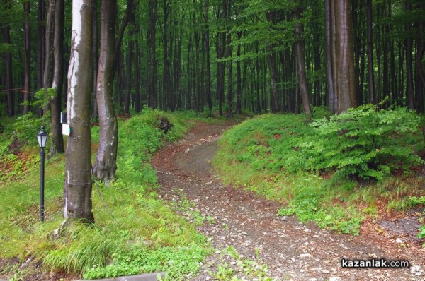 Три пътеки със спиращи дъха живописни гледки са подготвили за Вас от хотел “Еделвайс“