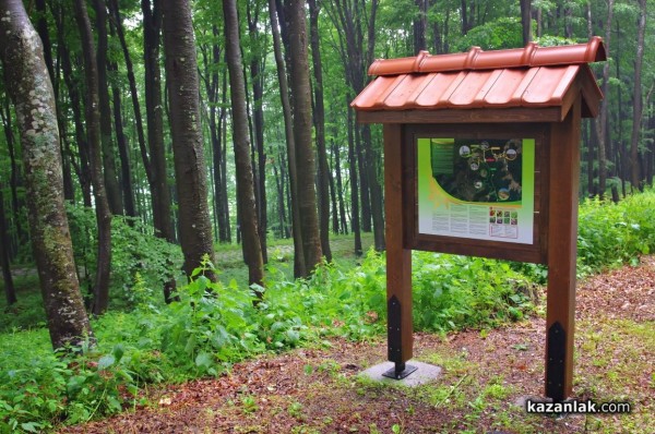 Три пътеки със спиращи дъха живописни гледки са подготвили за Вас от хотел “Еделвайс“