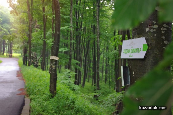 Три пътеки със спиращи дъха живописни гледки са подготвили за Вас от хотел “Еделвайс“