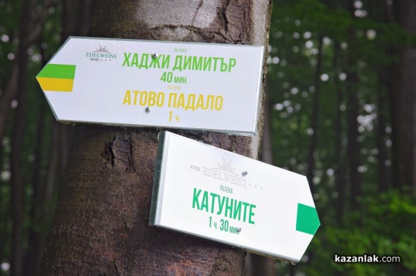 Три пътеки със спиращи дъха живописни гледки са подготвили за Вас от хотел “Еделвайс“