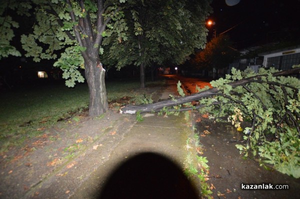 Вятър със скорост 73 км/ч събори дървета и клони в Казанлък снощи