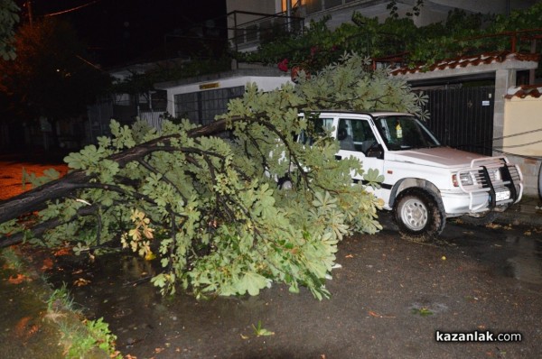 Вятър със скорост 73 км/ч събори дървета и клони в Казанлък снощи