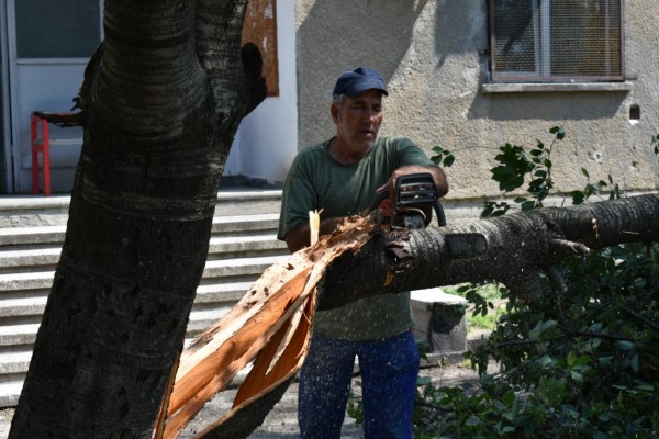 Общината работи по сигналите на горещия телефон след снощната буря