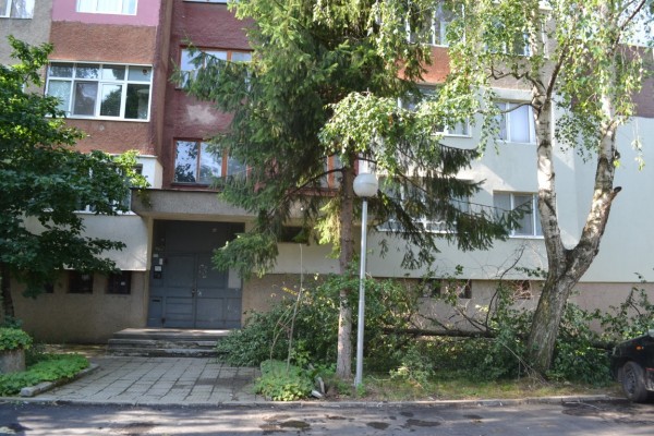 Общината работи по сигналите на горещия телефон след снощната буря