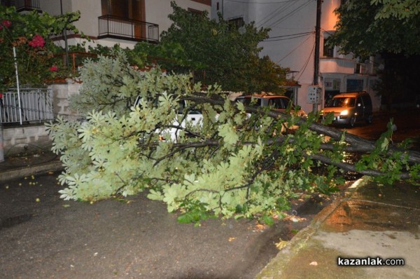 Вятър със скорост 73 км/ч събори дървета и клони в Казанлък снощи
