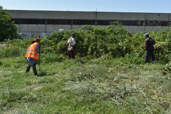 Общината работи по сигналите на горещия телефон след снощната буря