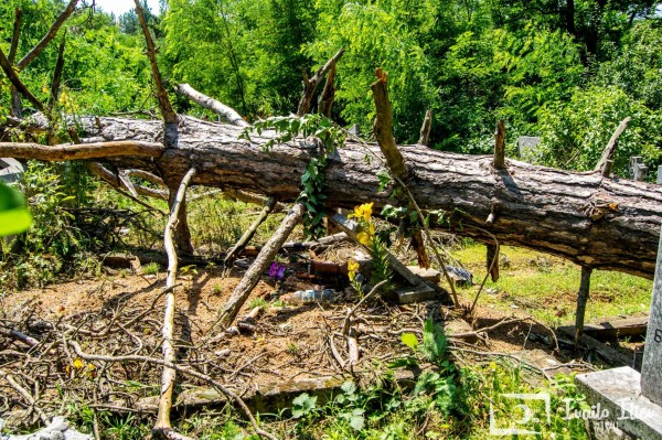 И Павел баня пострада от снощната буря