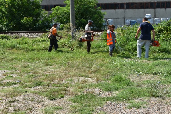 Общината работи по сигналите на горещия телефон след снощната буря