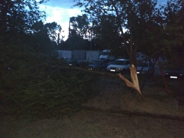 Вятър със скорост 73 км/ч събори дървета и клони в Казанлък снощи