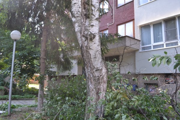 Общината работи по сигналите на горещия телефон след снощната буря