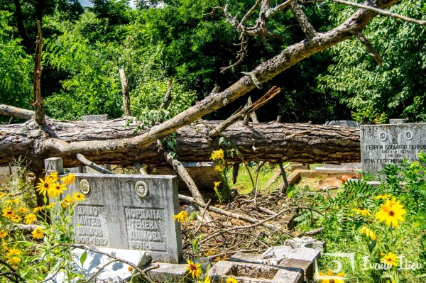 И Павел баня пострада от снощната буря
