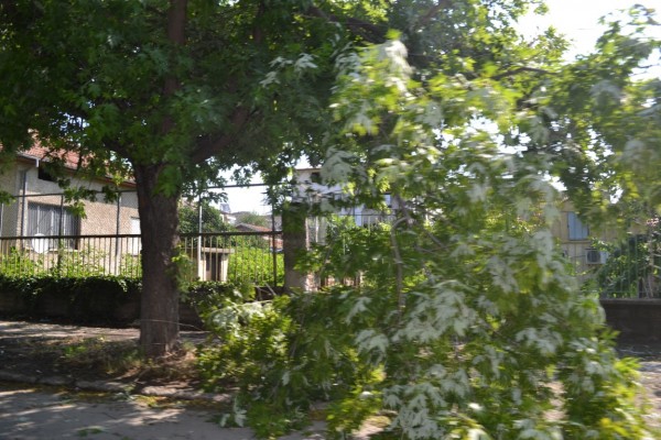 Общината работи по сигналите на горещия телефон след снощната буря