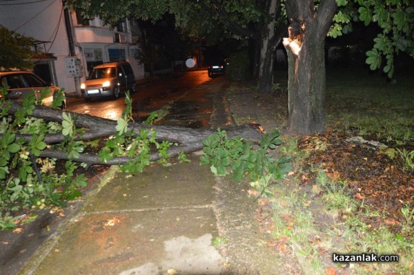 Вятър със скорост 73 км/ч събори дървета и клони в Казанлък снощи