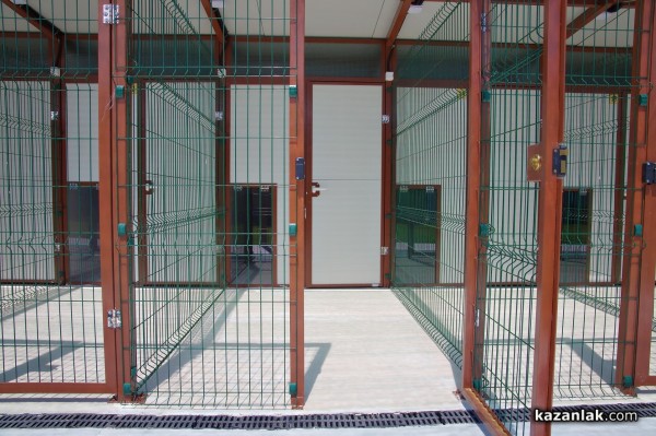 Хотел за кучета „Д-р Кости“ предлага грижи, уют, приятен престой и много любов за опашатия ви приятел