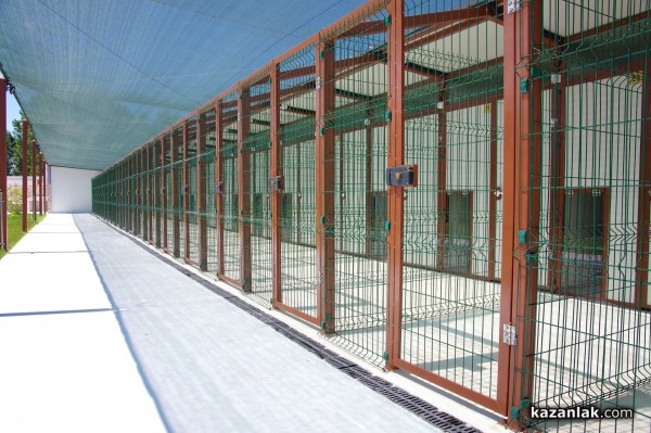 Хотел за кучета „Д-р Кости“ предлага грижи, уют, приятен престой и много любов за опашатия ви приятел