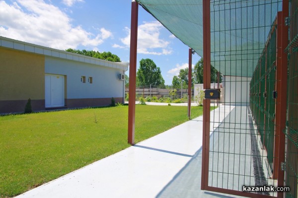 Хотел за кучета „Д-р Кости“ предлага грижи, уют, приятен престой и много любов за опашатия ви приятел