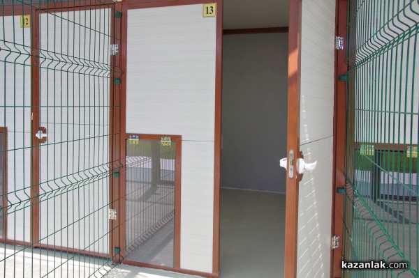 Хотел за кучета „Д-р Кости“ предлага грижи, уют, приятен престой и много любов за опашатия ви приятел