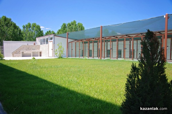 Хотел за кучета „Д-р Кости“ предлага грижи, уют, приятен престой и много любов за опашатия ви приятел