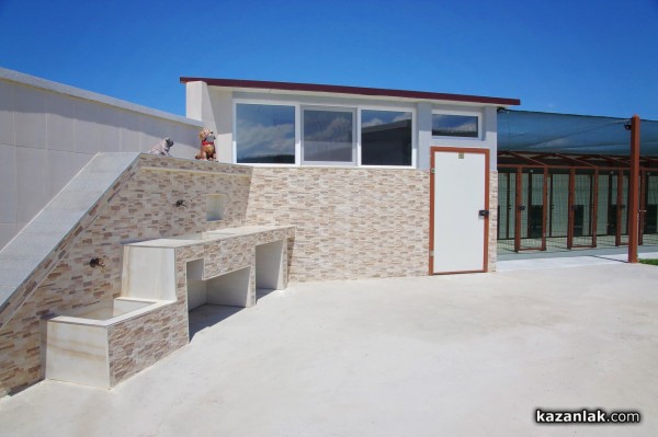 Хотел за кучета „Д-р Кости“ предлага грижи, уют, приятен престой и много любов за опашатия ви приятел