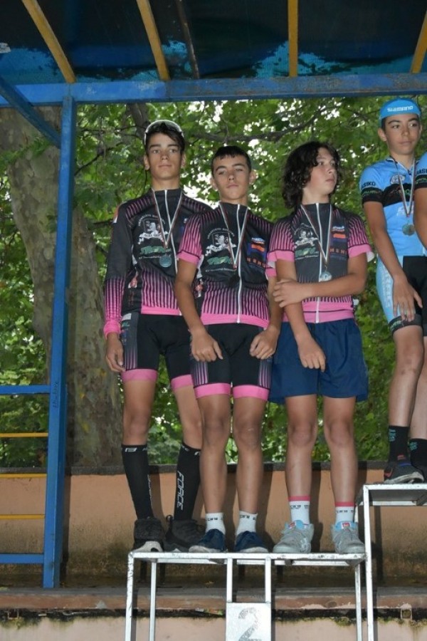 Сребро за лястовиците