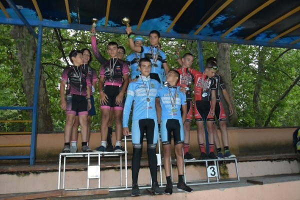 Сребро за лястовиците