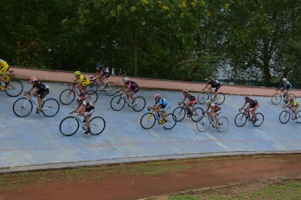 Сребро за лястовиците