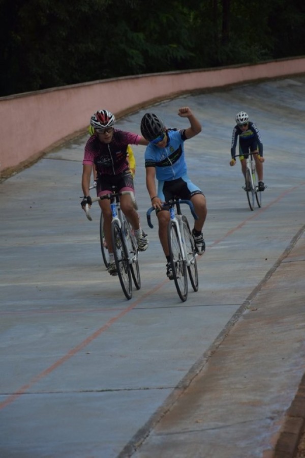 Сребро за лястовиците