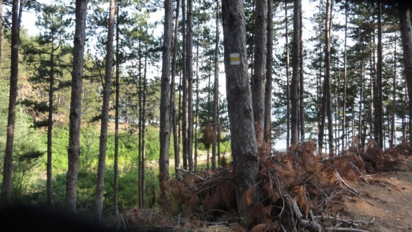 Подновени пътеки край язовир Копринка