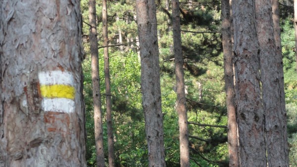 Подновени пътеки край язовир Копринка