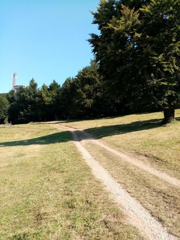 Бузлуджа отново е чиста