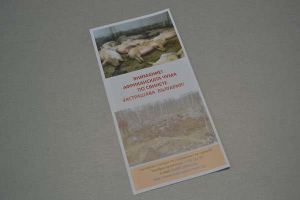 Среща на кметове и институции за опасността от Африканска чума