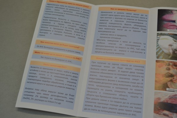 Среща на кметове и институции за опасността от Африканска чума