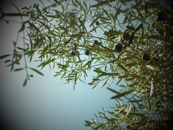 Татяна Бончева се завръща в Казанлък с първа изложба у нас