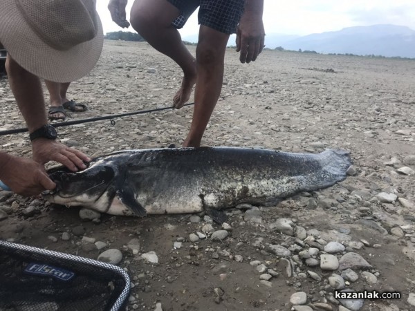 Рибари пуснаха трофейна риба обратно в язовира и отправиха апел към всички