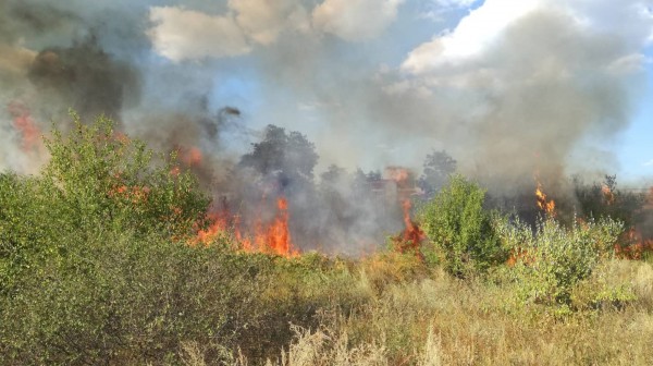 Горят сухи треви до пътното платно на изхода за Стара Загора