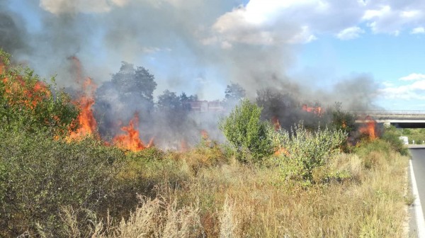 Горят сухи треви до пътното платно на изхода за Стара Загора
