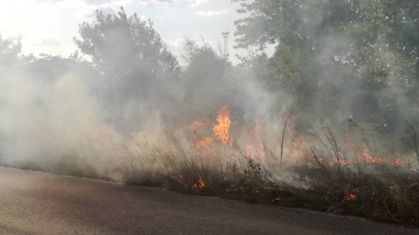 Горят сухи треви до пътното платно на изхода за Стара Загора