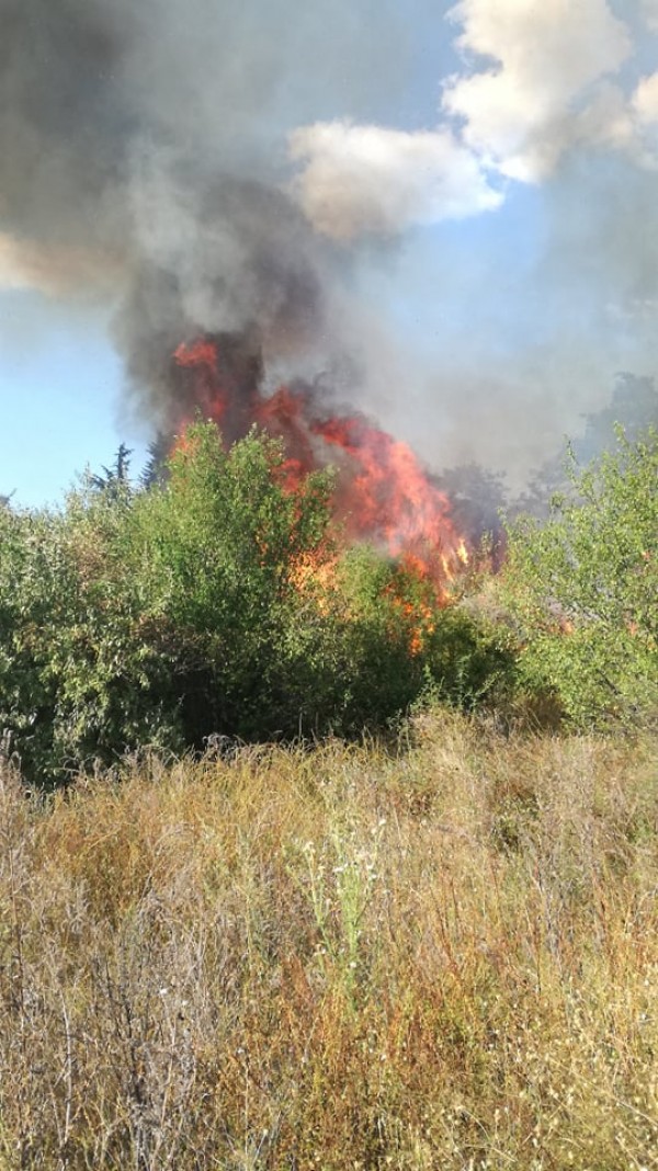 Горят сухи треви до пътното платно на изхода за Стара Загора