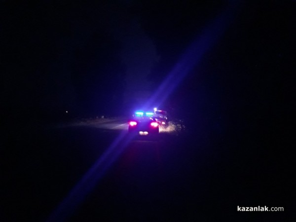 Джип блъсна теле на пътя за Стара Загора