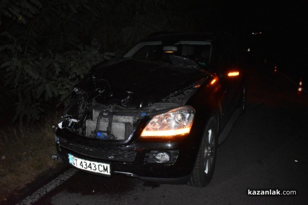 Джип блъсна теле на пътя за Стара Загора