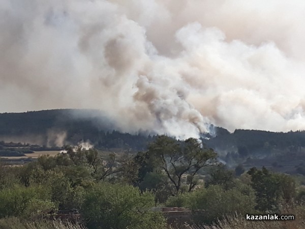 Голям пожар край Горно Черковище/ Видео и снимки / ОБНОВЕНА