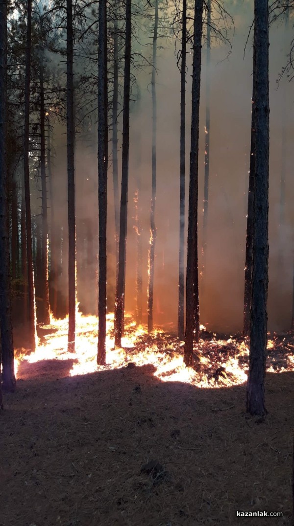 Голям пожар край Горно Черковище/ Видео и снимки / ОБНОВЕНА