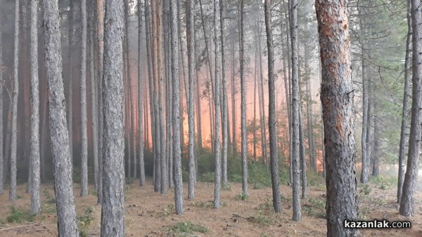 Голям пожар край Горно Черковище/ Видео и снимки / ОБНОВЕНА
