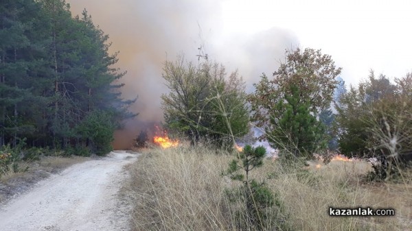 Голям пожар край Горно Черковище/ Видео и снимки / ОБНОВЕНА