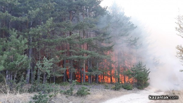 Голям пожар край Горно Черковище/ Видео и снимки / ОБНОВЕНА